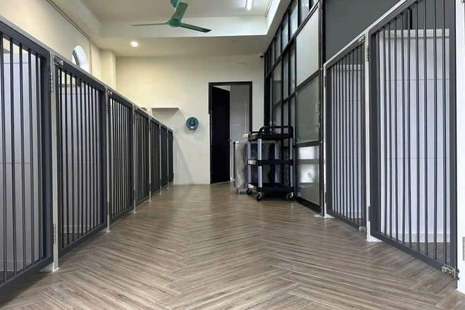 L&agrave;m đẹp th&uacute; cưng ở TP.HCM: &Aacute;p lực 'khủng' với kh&aacute;ch h&agrave;ng 4 ch&acirc;n- Ảnh 6.