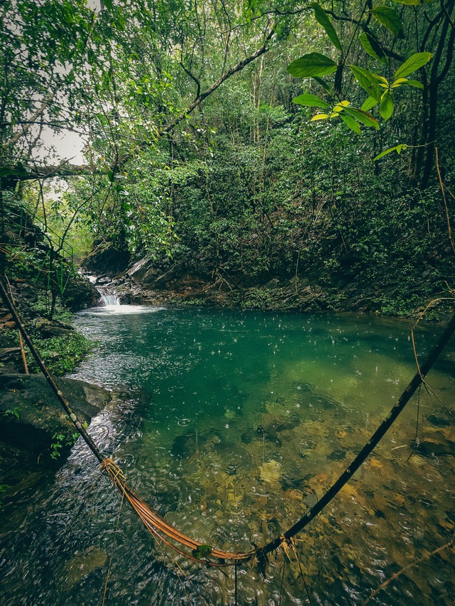 Trekking Vườn quốc gia Bạch Mã: Không lấy gì ngoài những bức ảnh đẹp!- Ảnh 4.