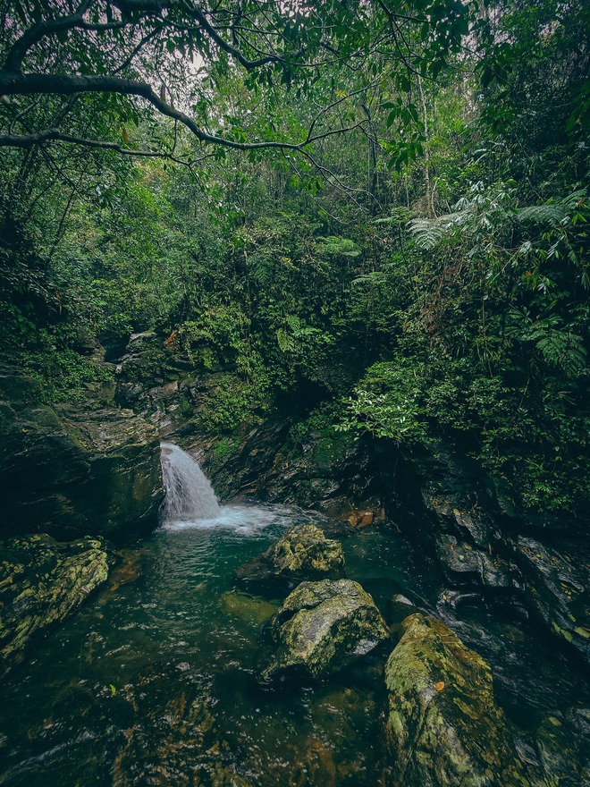 Trekking Vườn quốc gia Bạch Mã: Không lấy gì ngoài những bức ảnh đẹp!- Ảnh 5.