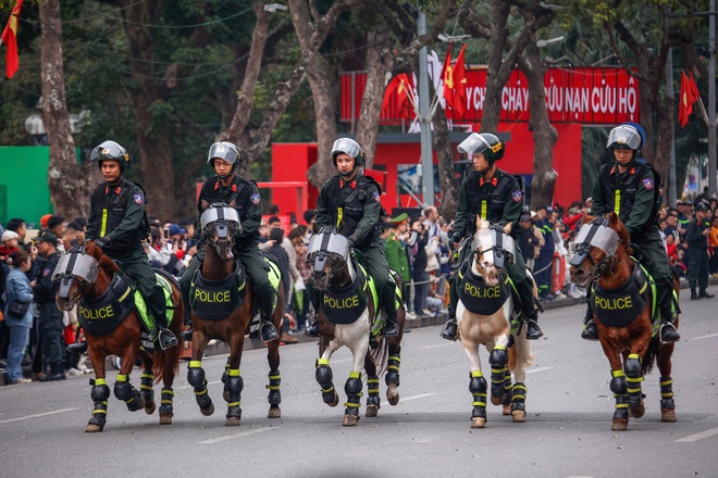 Kỵ binh, cảnh khuyển tr&igrave;nh diễn tr&ecirc;n phố đi bộ hồ Gươm- Ảnh 6.