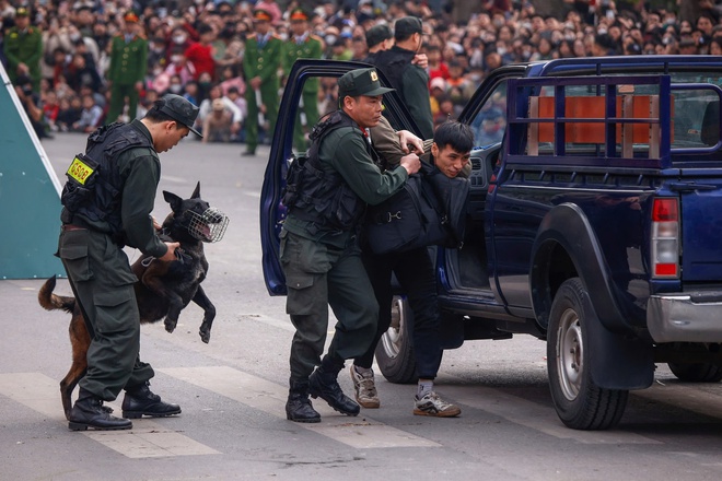 Kỵ binh, cảnh khuyển tr&igrave;nh diễn tr&ecirc;n phố đi bộ hồ Gươm- Ảnh 22.