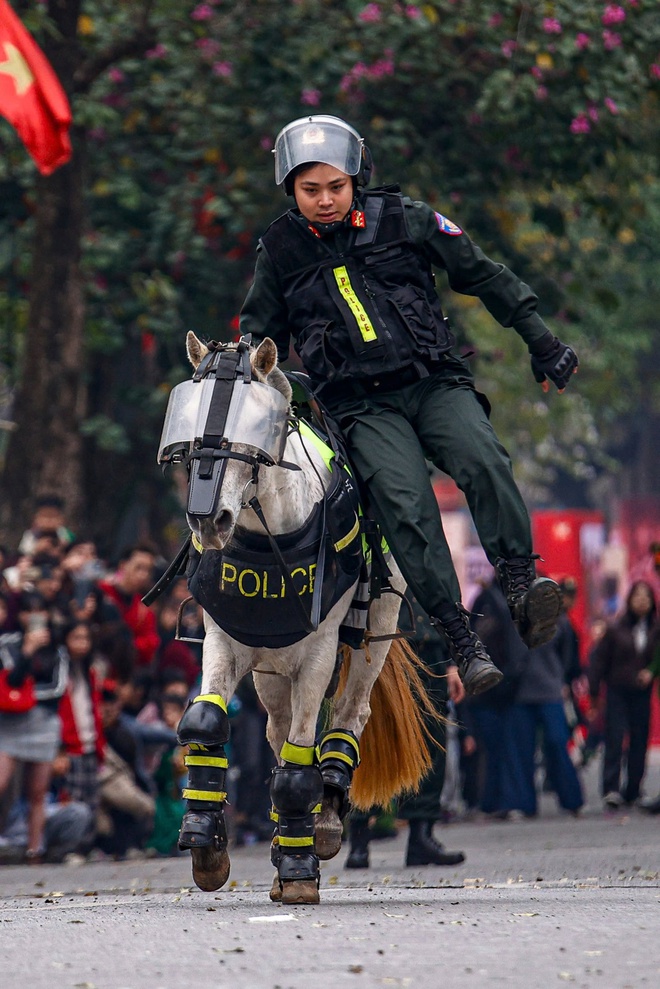 Kỵ binh, cảnh khuyển tr&igrave;nh diễn tr&ecirc;n phố đi bộ hồ Gươm- Ảnh 9.