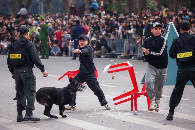 Kỵ binh, cảnh khuyển tr&igrave;nh diễn tr&ecirc;n phố đi bộ hồ Gươm- Ảnh 21.