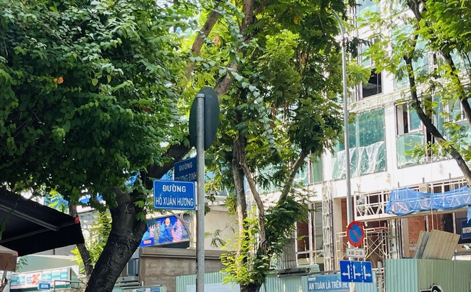 Sống ở TP.HCM: Kỳ thú “xóm thi sĩ” ở Q.3 - Ảnh 3.
