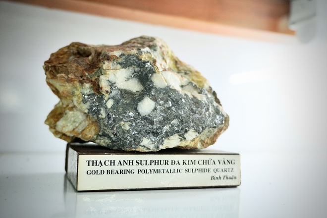 Bảo tàng ở TP.HCM: Bảo tàng Địa chất 'đọc vị' trái đất- Ảnh 6.