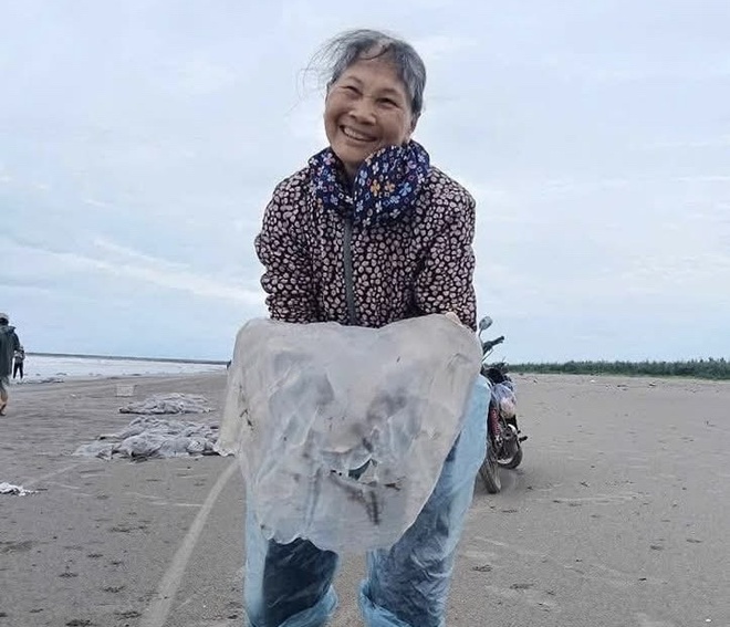 Hàng vạn con sứa chết, trôi dạt vào bờ biển Nam Định- Ảnh 4. Hàng vạn con sứa chết, trôi dạt vào bờ biển Nam Định- Ảnh 4.