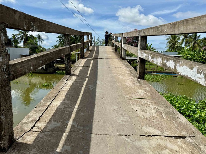 Cây cầu mơ ước của người dân Trần Hợi: Khát khao vươn tới tương lai - Ảnh 3. Cây cầu mơ ước của người dân Trần Hợi: Khát khao vươn tới tương lai - Ảnh 3.