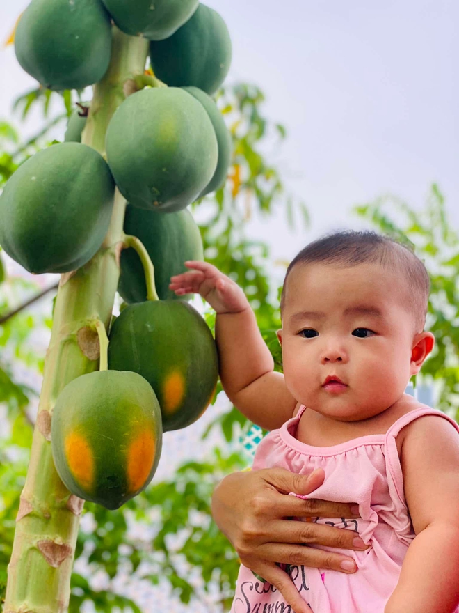 Trồng rau sạch trên sân thượng: Bán bớt 12 trái bí đỏ vì nhà ăn không hết - Ảnh 12.
