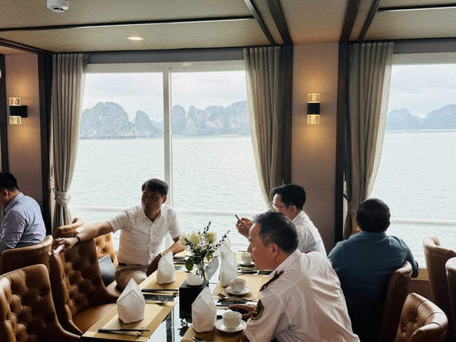 Lộ diện bộ đôi 'thiên nga trắng' đưa khách ngắm vịnh Bái Tử Long - Ảnh 2.