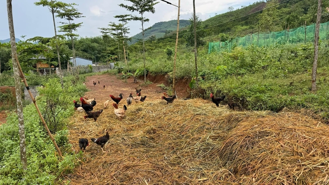 Cuộc sống trên ngọn đồi thơ mộng vào cuối tuần của gia đình trẻ - Ảnh 5.