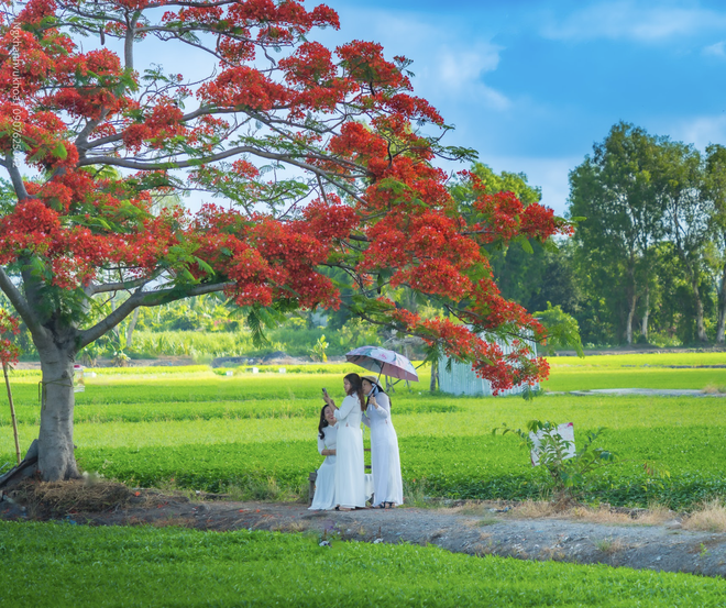 Ngắm tòa nhà cao nhất Việt Nam từ những cánh đồng xanh TP.HCM có gì thú vị? - Ảnh 3.
