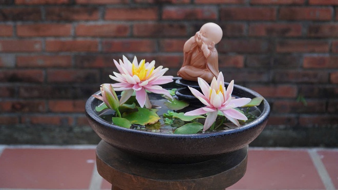 Độc đáo những bông hoa làm từ đất sét sống động như thật - Ảnh 9.