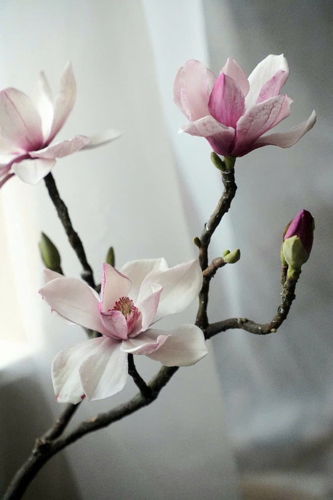 Độc đáo những bông hoa làm từ đất sét sống động như thật - Ảnh 10.
