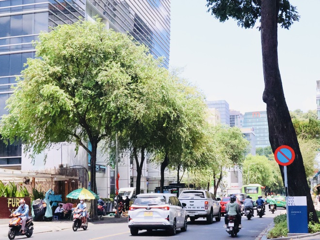 Sống ở TP.HCM: Những con đường lịch sử giữa lòng thành phố
- Ảnh 7.