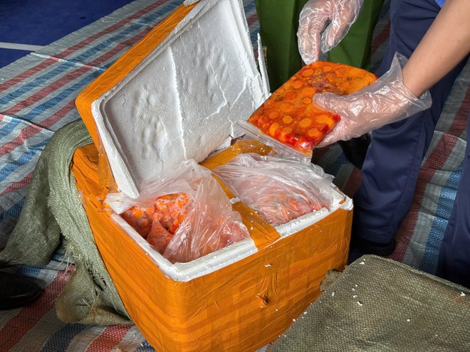 Công an tạm giữ 20 tấn nội tạng động vật bốc mùi, không rõ nguồn gốc- Ảnh 6. Công an tạm giữ 20 tấn nội tạng động vật bốc mùi, không rõ nguồn gốc- Ảnh 6.