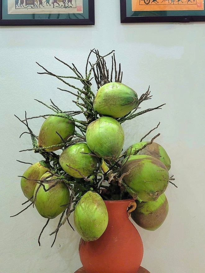 Cô giáo Phú Thọ gây sốt với thú chơi cắm cành trái cây độc đáo , đặc biệt là dừa - Ảnh 3. Cô giáo Phú Thọ gây sốt với thú chơi cắm cành trái cây độc đáo , đặc biệt là dừa - Ảnh 3.