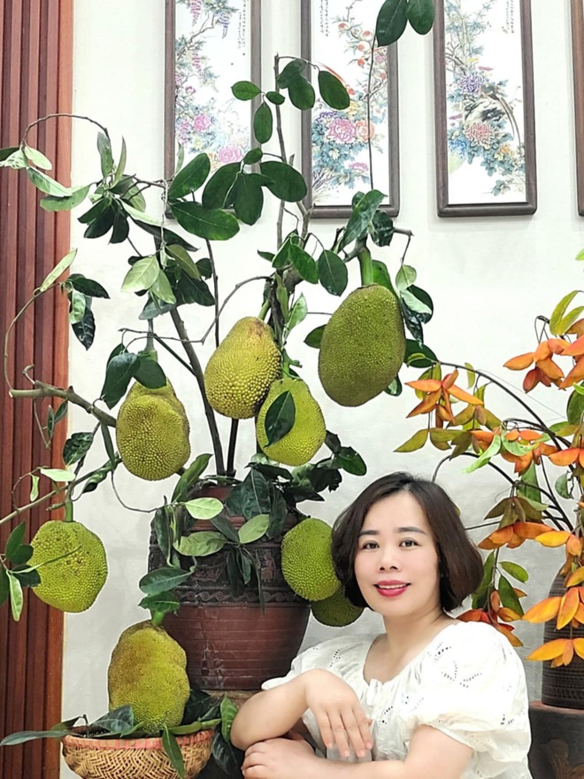 Cô giáo Phú Thọ gây sốt với thú chơi cắm cành trái cây độc đáo , đặc biệt là dừa - Ảnh 2. Cô giáo Phú Thọ gây sốt với thú chơi cắm cành trái cây độc đáo , đặc biệt là dừa - Ảnh 2.