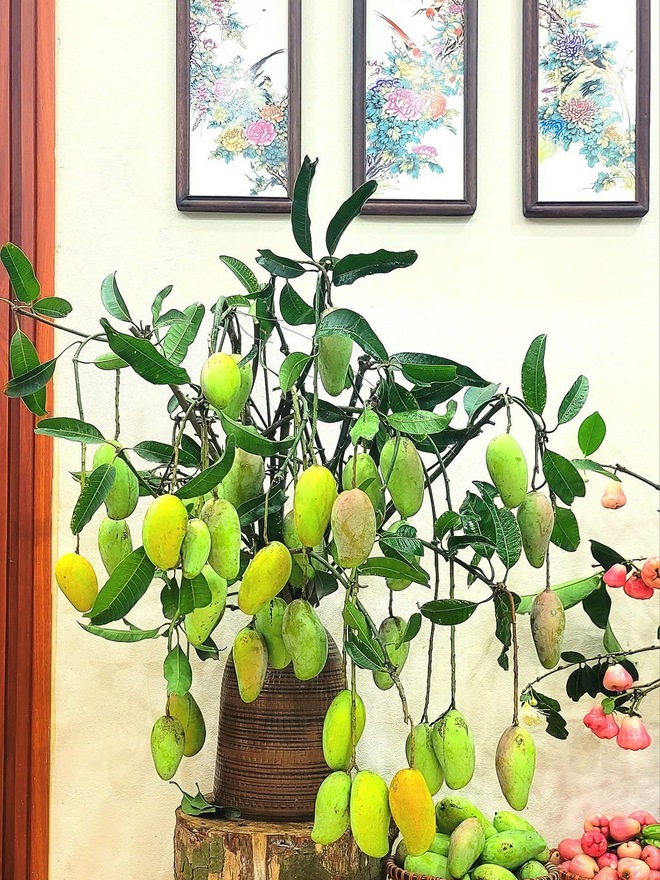 Cô giáo Phú Thọ gây sốt với thú chơi cắm cành trái cây độc đáo , đặc biệt là dừa - Ảnh 8. Cô giáo Phú Thọ gây sốt với thú chơi cắm cành trái cây độc đáo , đặc biệt là dừa - Ảnh 8.