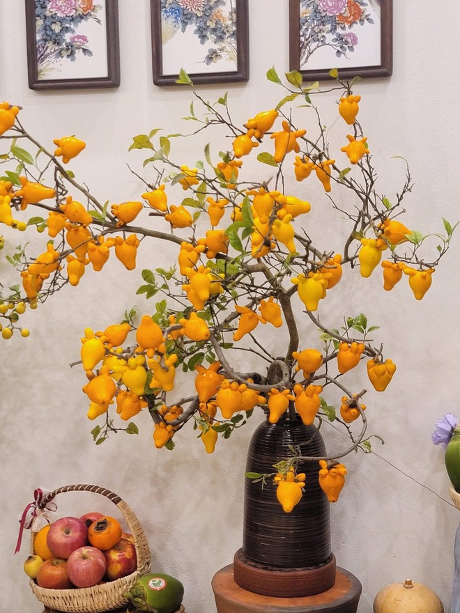 Cô giáo Phú Thọ gây sốt với thú chơi cắm cành trái cây độc đáo , đặc biệt là dừa - Ảnh 10. Cô giáo Phú Thọ gây sốt với thú chơi cắm cành trái cây độc đáo , đặc biệt là dừa - Ảnh 10.
