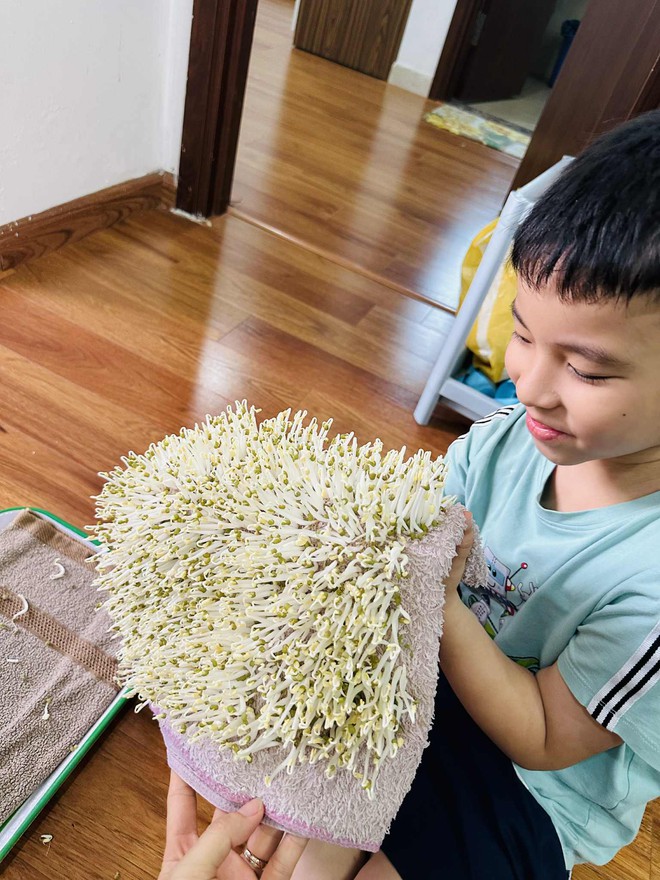Đừng lo giá đỗ ngâm hóa chất, bà nội trợ chỉ cách làm nhàn tênh - Ảnh 4.
