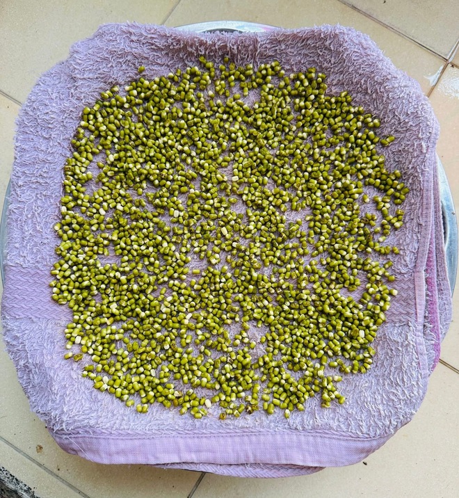 Đừng lo giá đỗ ngâm hóa chất, bà nội trợ chỉ cách làm nhàn tênh - Ảnh 2.