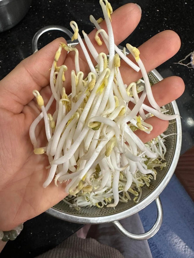 Đừng lo giá đỗ ngâm hóa chất, bà nội trợ chỉ cách làm nhàn tênh - Ảnh 5.