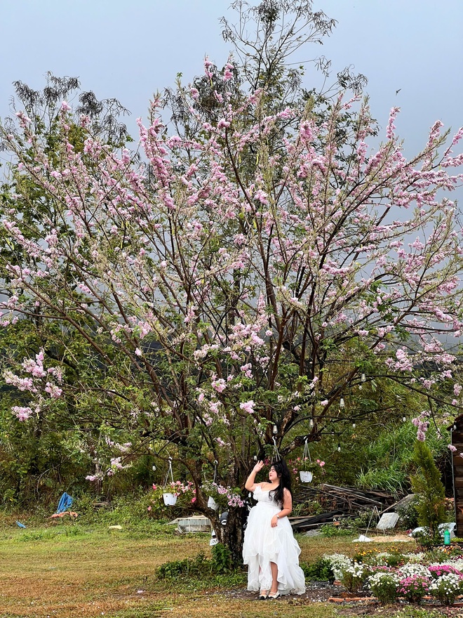 Một khu vườn thơ mộng, ngập tràn hoa lá khiến ai ghé thăm cũng phải trầm trồ- Ảnh 6.