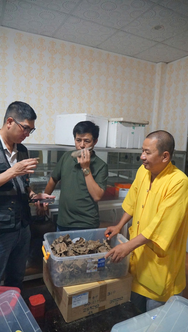 Khát vọng trầm hương của 'nhà sư Thị Kính': Rừng dó bầu nơi cửa Phật- Ảnh 2.