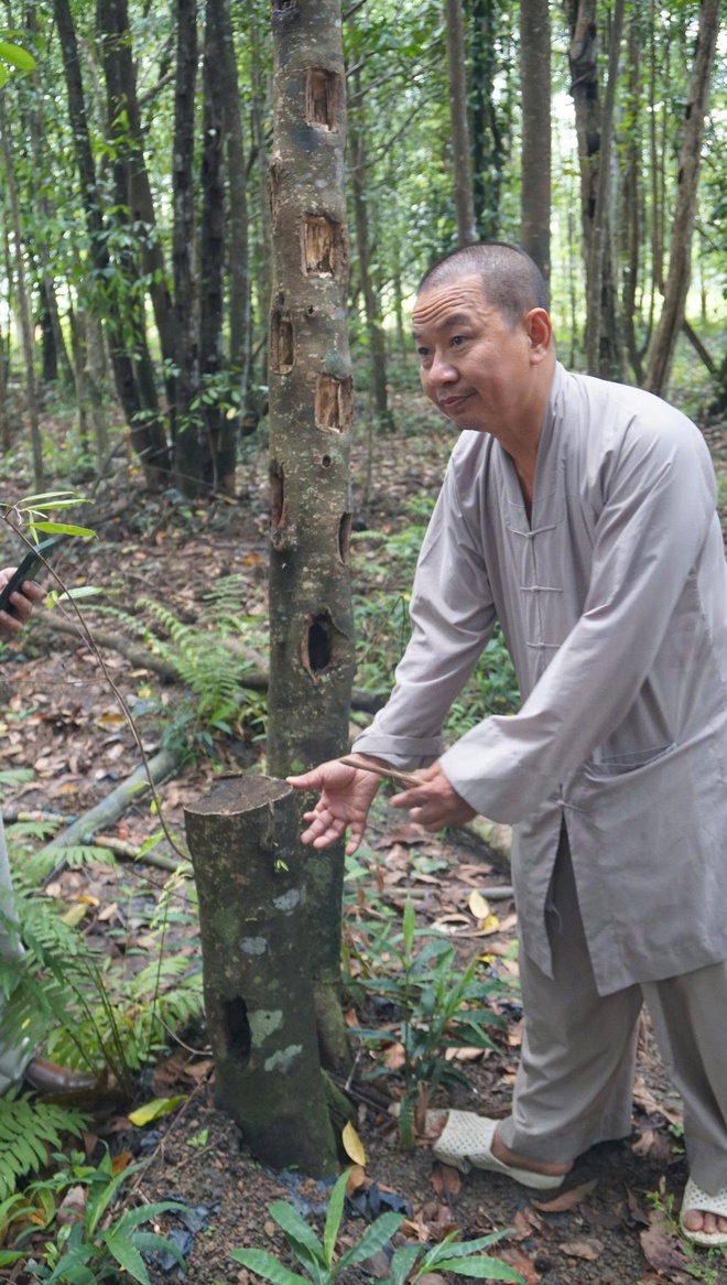 Khát vọng trầm hương của 'nhà sư Thị Kính': Bảo mẫu dó bầu ngậm ngải tìm trầm- Ảnh 2.