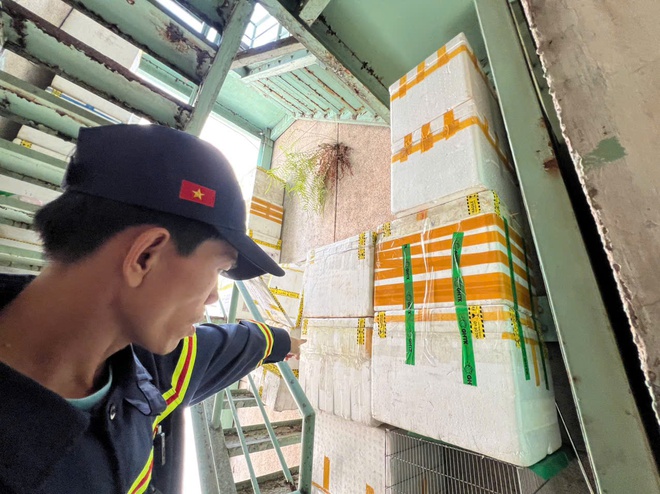 Công an TP.HCM ra quân xóa 'chuồng cọp'- Ảnh 14.