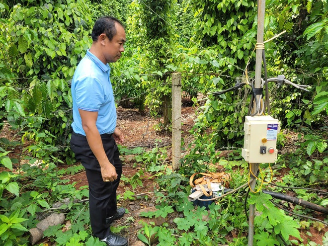 TP.HCM: Vì sao người dân xã Bàu Lâm khóc ròng vì giếng mất nước tưới cây?- Ảnh 5. TP.HCM: Vì sao người dân xã Bàu Lâm khóc ròng vì giếng mất nước tưới cây?- Ảnh 5.