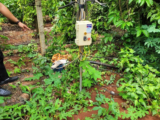 TP.HCM: Vì sao người dân xã Bàu Lâm khóc ròng vì giếng mất nước tưới cây?- Ảnh 4. TP.HCM: Vì sao người dân xã Bàu Lâm khóc ròng vì giếng mất nước tưới cây?- Ảnh 4.