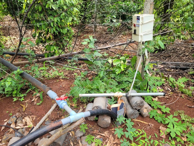 TP.HCM: Vì sao người dân xã Bàu Lâm khóc ròng vì giếng mất nước tưới cây?- Ảnh 3. TP.HCM: Vì sao người dân xã Bàu Lâm khóc ròng vì giếng mất nước tưới cây?- Ảnh 3.