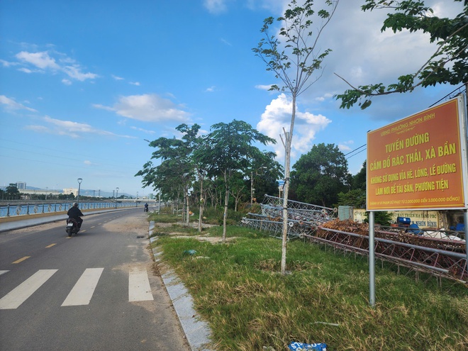 Gia Lai: Rác thải ngập tràn hai bên đường hệ thống thoát lũ 600 tỉ đồng- Ảnh 7. Gia Lai: Rác thải ngập tràn hai bên đường hệ thống thoát lũ 600 tỉ đồng- Ảnh 7.