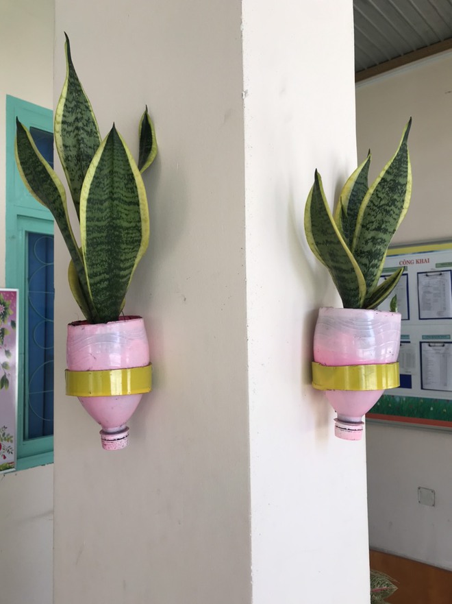 Đưa cây xanh, cỏ hoa vào không gian trường học- Ảnh 3.