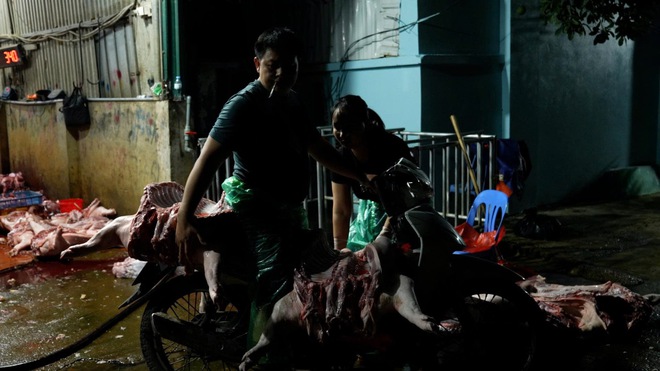 Đường dây giết mổ, tiêu thụ lợn nhiễm bệnh tại Hà Nội- Ảnh 3. Đường dây giết mổ, tiêu thụ lợn nhiễm bệnh tại Hà Nội- Ảnh 3.
