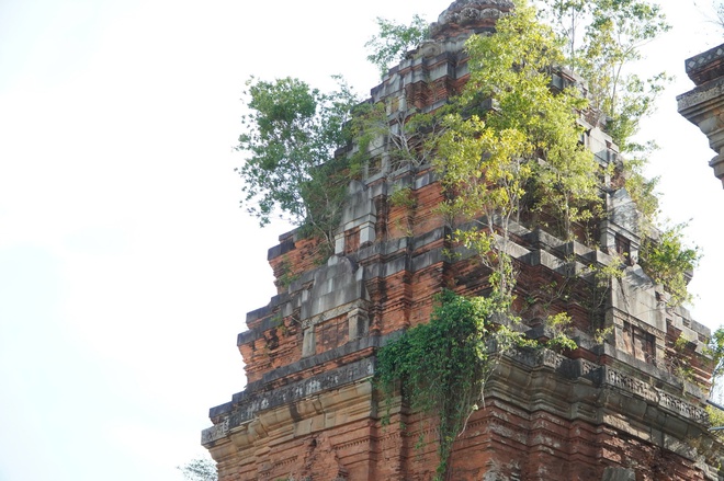 Tháp Chăm cao nhất Đông Nam Á đang xuống cấp nghiêm trọng- Ảnh 4. Tháp Chăm cao nhất Đông Nam Á đang xuống cấp nghiêm trọng- Ảnh 4.
