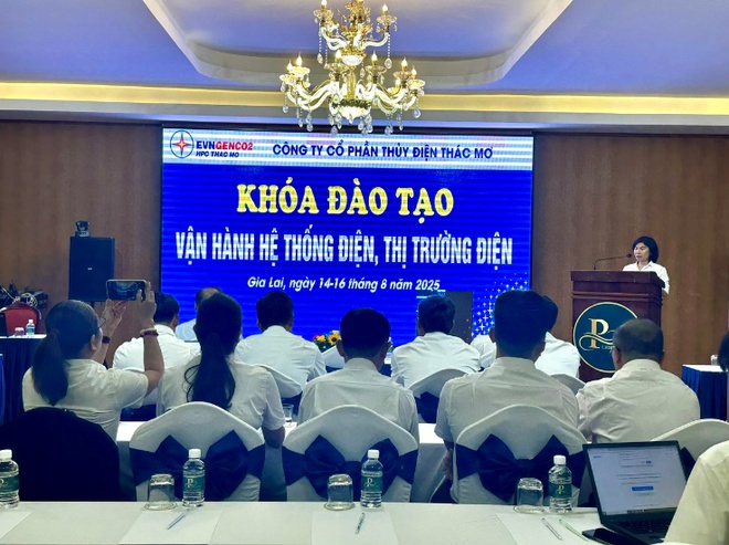 TMP và NSMO hợp tác đào tạo về vận hành hệ thống điện và thị trường điện - Ảnh 1.