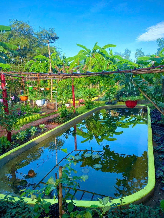 Chàng trai bỏ phố về quê sau biến cố, tạo dựng khu vườn chữa lành - Ảnh 6.