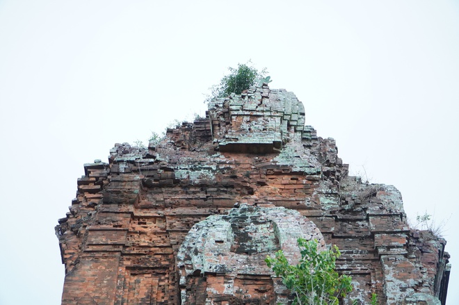 Gia Lai xây dựng đề án trùng tu ngôi tháp cổ gần 900 năm tuổi- Ảnh 9. Gia Lai xây dựng đề án trùng tu ngôi tháp cổ gần 900 năm tuổi- Ảnh 9.