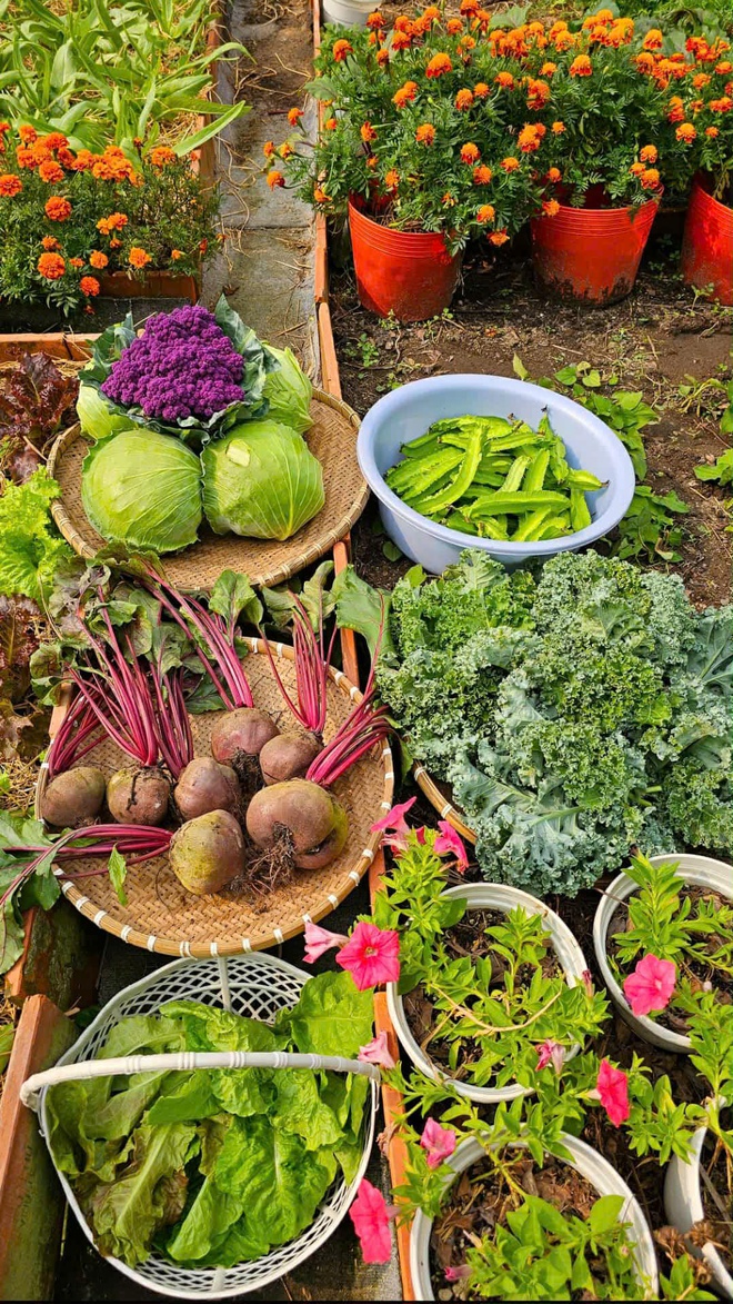 Giới trẻ 9X từ bỏ c&ocirc;ng việc văn ph&ograve;ng để theo đuổi đam m&ecirc; l&agrave;m vườn - Ảnh 3.