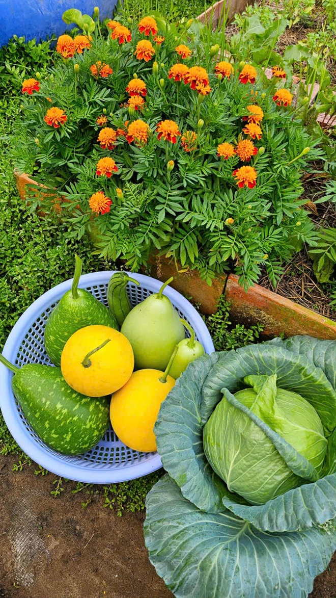 Giới trẻ 9X từ bỏ c&ocirc;ng việc văn ph&ograve;ng để theo đuổi đam m&ecirc; l&agrave;m vườn - Ảnh 5.