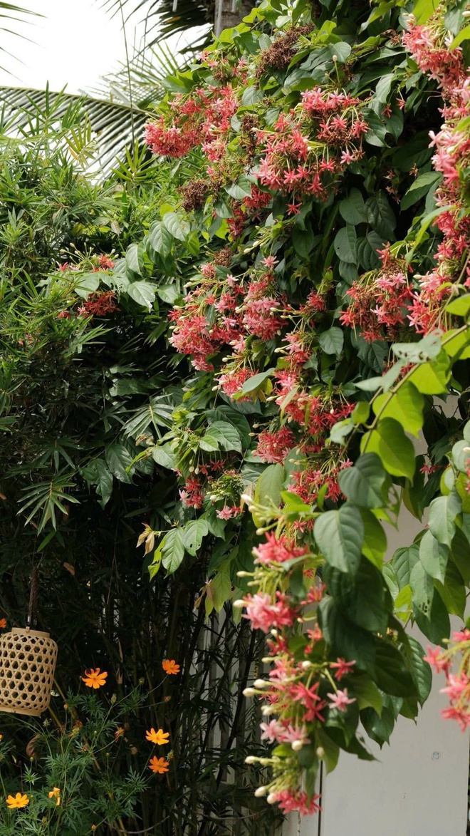 Nhờ ChatGPT thiết kế vườn đẹp, c&ocirc; g&aacute;i nhận được c&aacute;i kết bất ngờ- Ảnh 8.