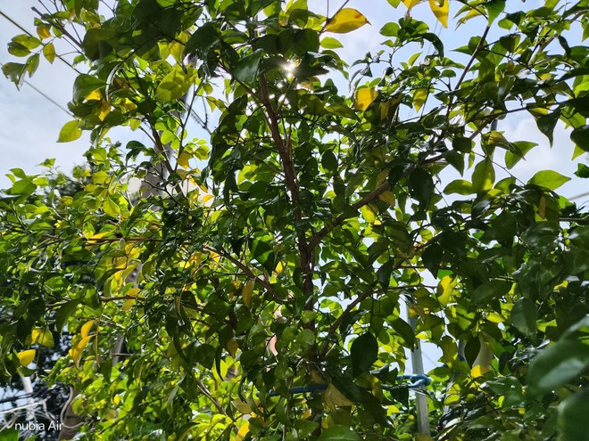 Trải nghiệm Nubia Air - Ảnh 12.