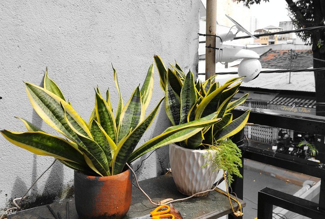 Trải nghiệm Nubia Air - Ảnh 13.