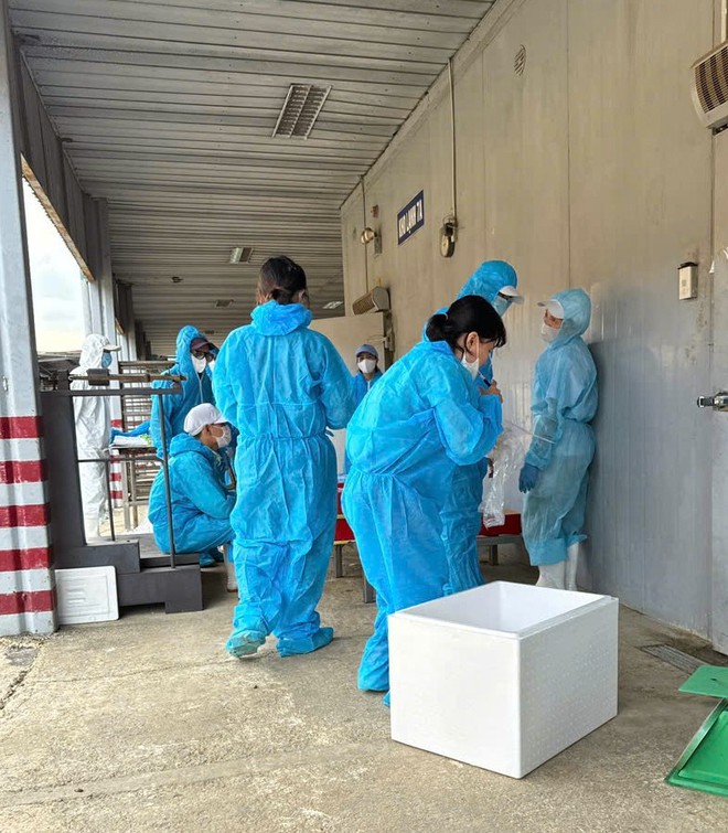 Đồ hộp Hạ Long và vụ tiêu hủy gần 14.000 Hộp patê gây chấn động - Ảnh 2. Đồ hộp Hạ Long và vụ tiêu hủy gần 14.000 Hộp patê gây chấn động - Ảnh 2.