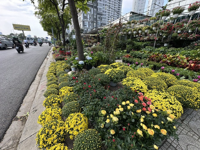 Bất ngờ gi&aacute; hoa c&uacute;c m&acirc;m x&ocirc;i giảm mạnh, v&igrave; sao? - Ảnh 2.