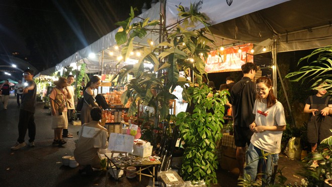 Loại c&acirc;y n&agrave;o từng c&oacute; gi&aacute; 1 tỉ đồng/l&aacute;, nay chỉ c&ograve;n v&agrave;i triệu đồng/c&acirc;y?- Ảnh 4.