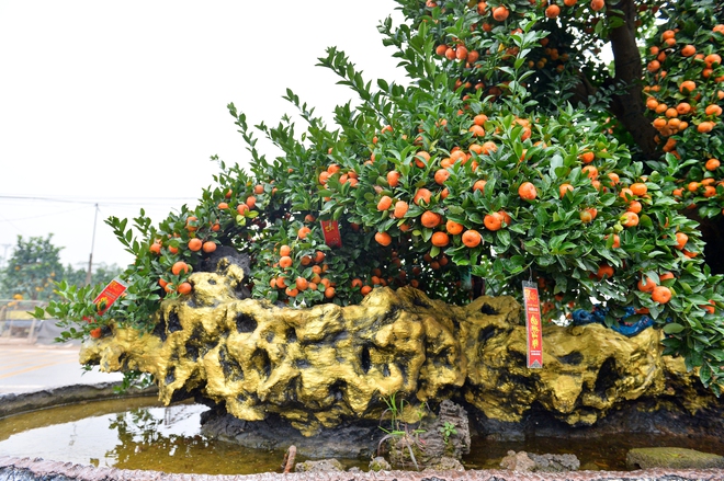 Bộ qu&yacute;t 'Ph&uacute;c-Lộc-Thọ' gi&aacute; nửa tỉ, đại gia mua về chơi tết Nguy&ecirc;n đ&aacute;n B&iacute;nh Ngọ 2026 - Ảnh 6.