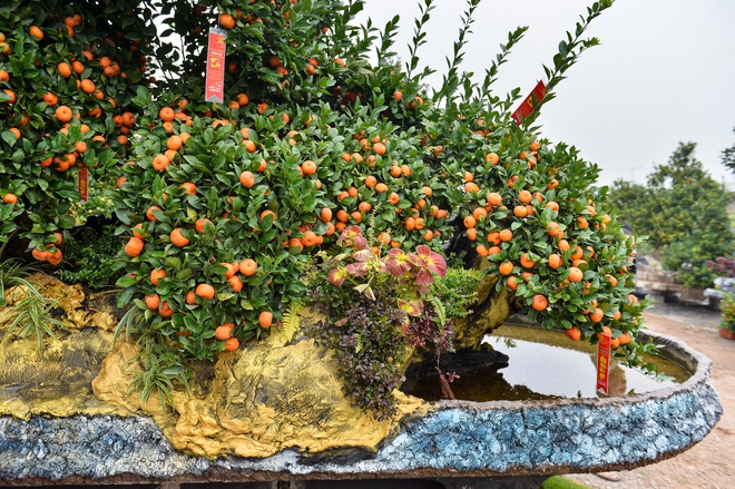 Bộ qu&yacute;t 'Ph&uacute;c-Lộc-Thọ' gi&aacute; nửa tỉ, đại gia mua về chơi tết Nguy&ecirc;n đ&aacute;n B&iacute;nh Ngọ 2026 - Ảnh 7.